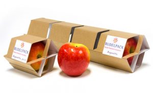budelpack-300x183